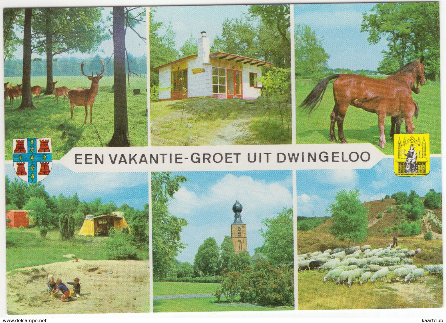 Een Vakantie-Groet Uit Dwingeloo - (Drenthe, Nederland) - Nr. L 373 - Dwingeloo