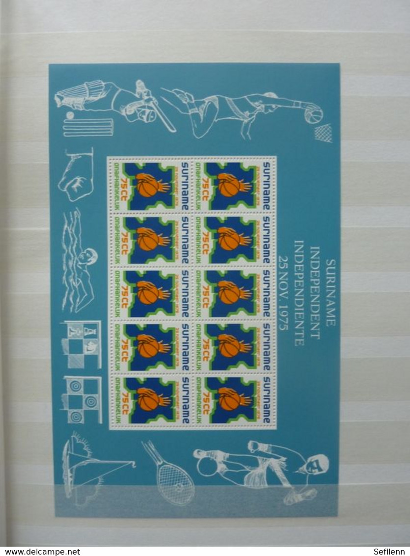 Suriname in  almost new/presque nouveau stockbook with a.o (in)complete Sheets !!