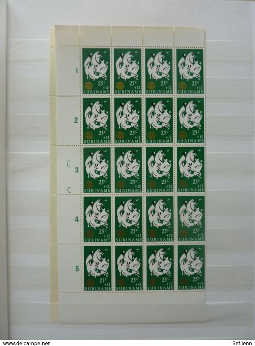 Suriname in  almost new/presque nouveau stockbook with a.o (in)complete Sheets !!