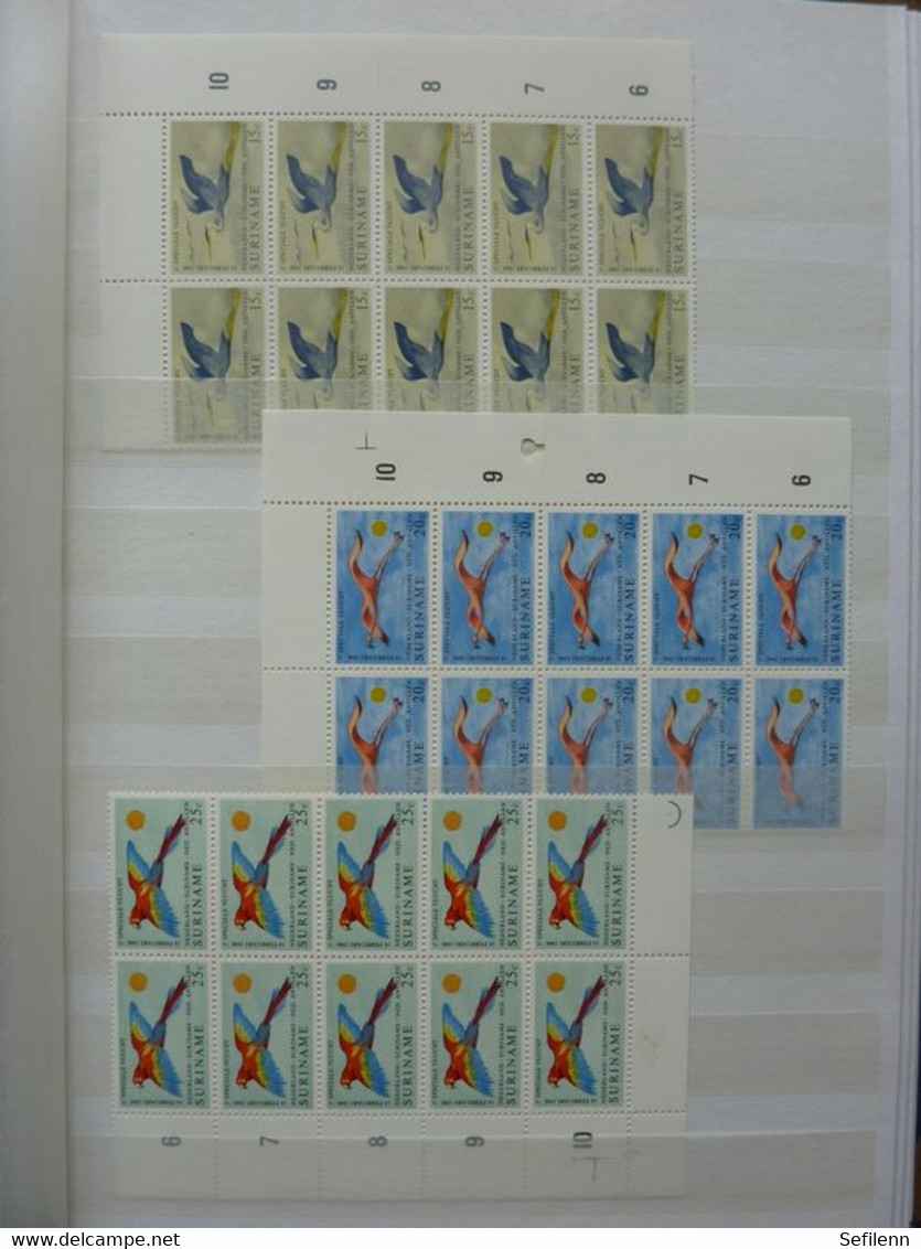Suriname in  almost new/presque nouveau stockbook with a.o (in)complete Sheets !!