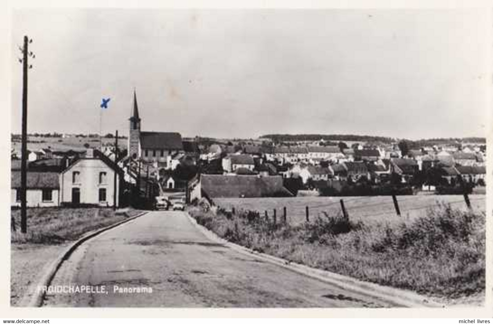 Froidchapelle - Panorama - Circulé - TBE - Froidchapelle