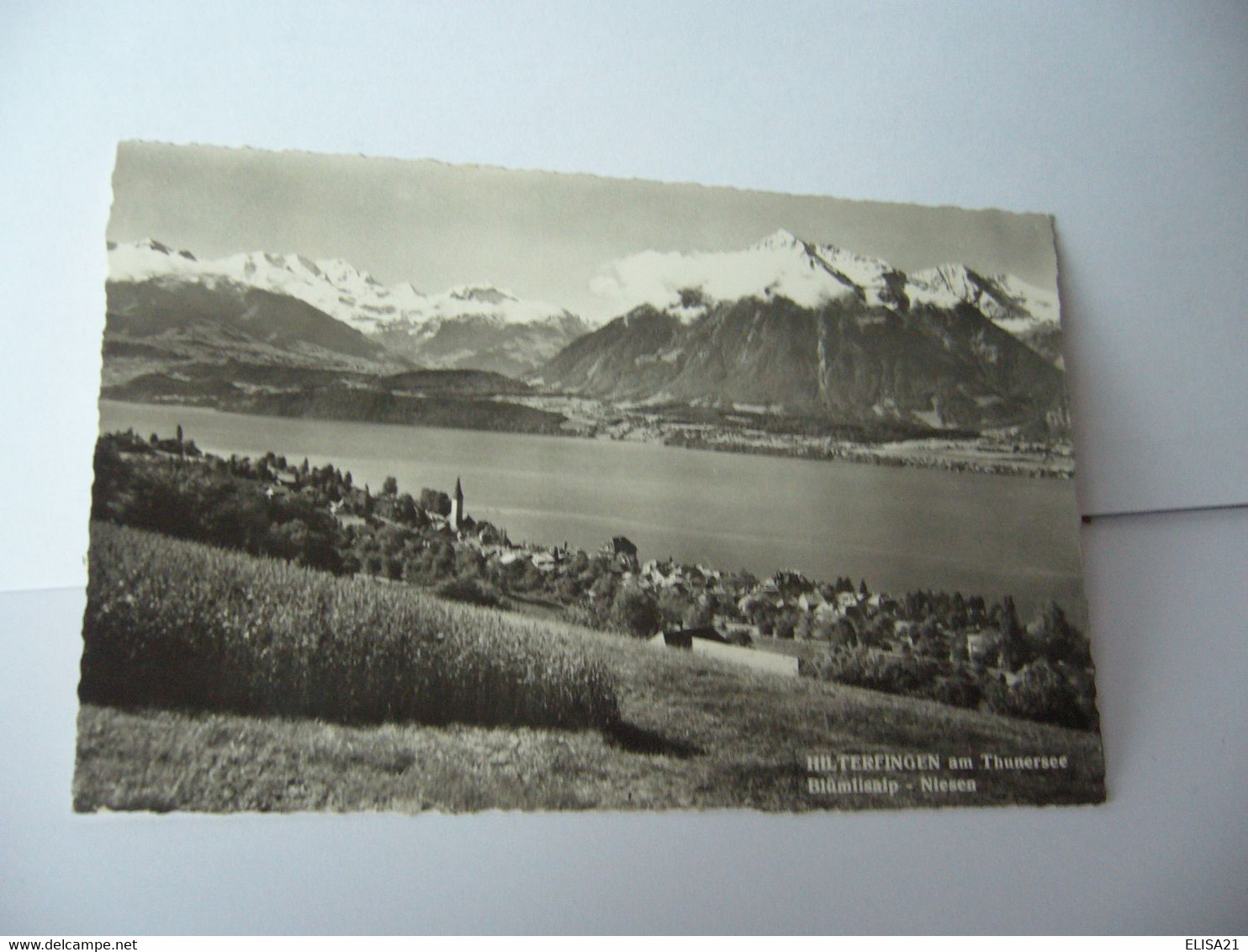 HILTERFINGEN AM THUNERSEE  SUISSE VD VAUD BLUMFISALP NIESEN CPSM FORMAT CPA 1965 - Hilterfingen