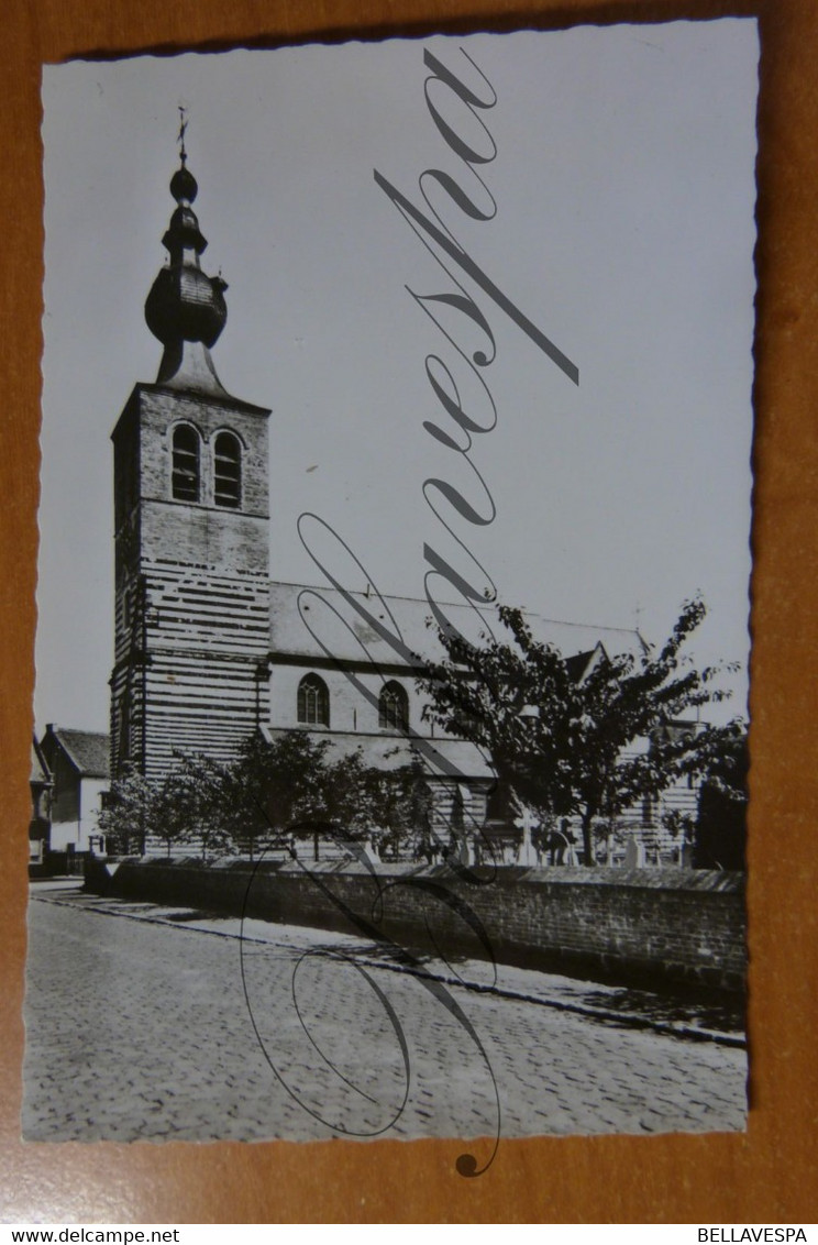 Werchter Kerk Sint Jan Baptist. - Rotselaar