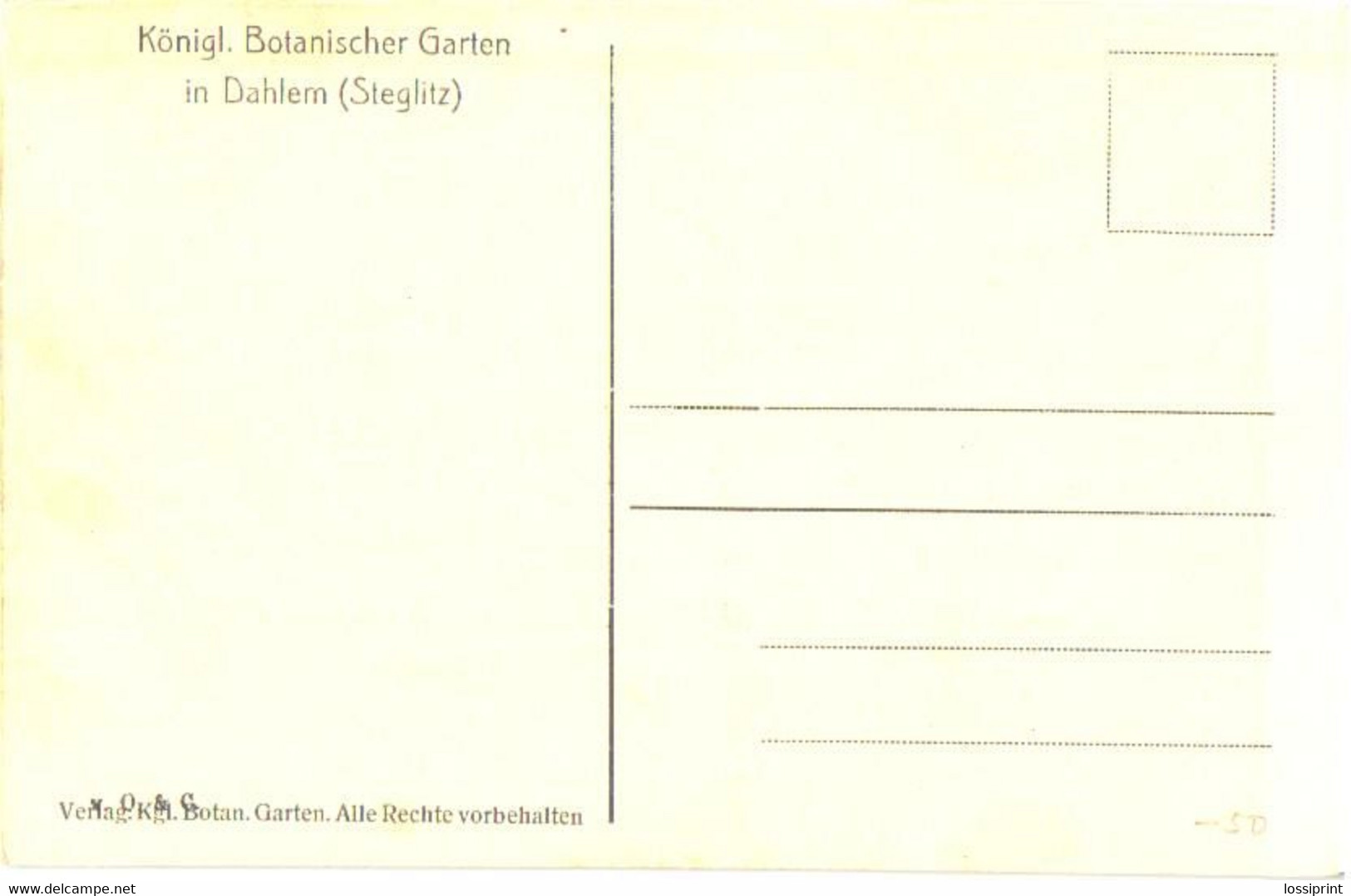 Germany:Berlin, Dahlem Royal Botanic Garden, Aloe, Pre 1940 - Steglitz