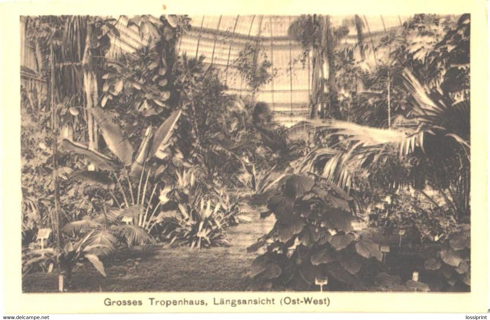 Germany:Berlin, Dahlem Royal Botanic Garden, Great Tropic House, Pre 1940 - Steglitz