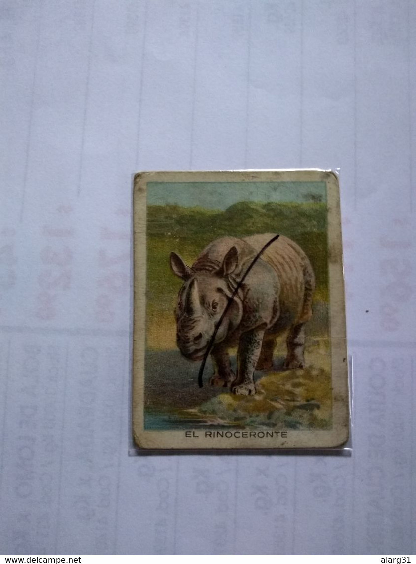 Chile.rhino.cig Card.no Postcard Rare Yungay Brand.1915.animal Series.better Cond.thick Paper 5*6.5 Cmt.. - Neushoorn