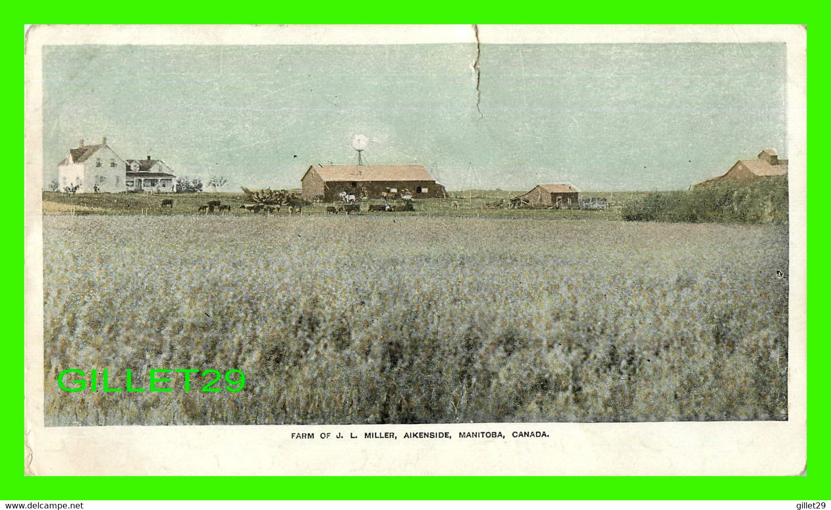 AIKENSIDE, MANITOBA - FARM OF J. L. MILLER - FARMS IN WESTERN CANADA - ÉCRITE - - Andere & Zonder Classificatie