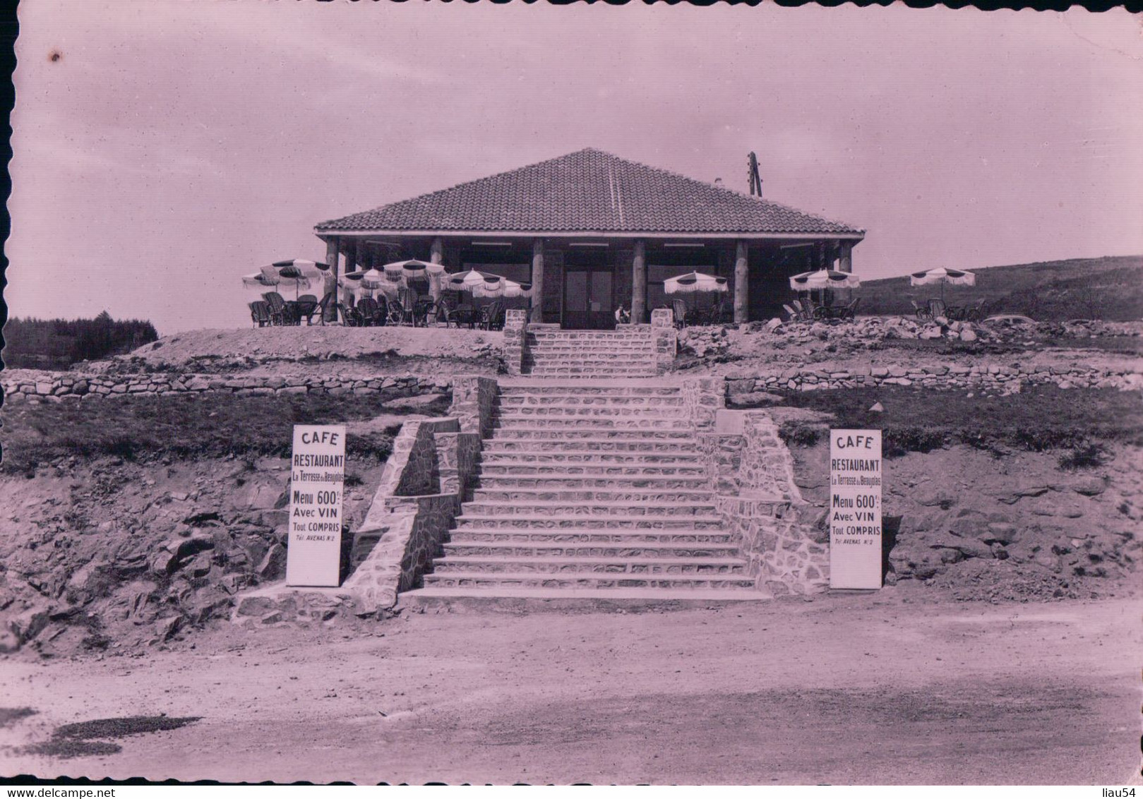 LA TERRASSE Du BEAUJOLAIS Au Fut D'Avenas Commune De Chiroubles (1957) - Chiroubles