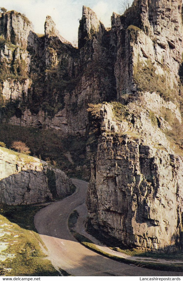 Postcard Cheddar Gorge My Ref B25319 - Cheddar