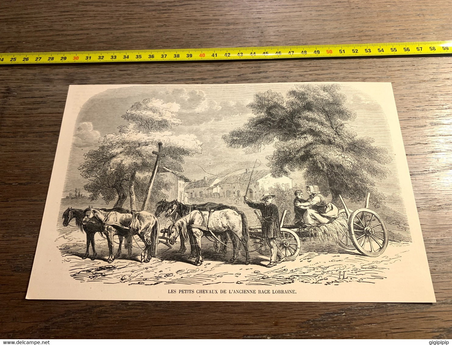 1859 Ill1 Les Petits Chevaux De L Ancienne Race Lorraine - Unclassified