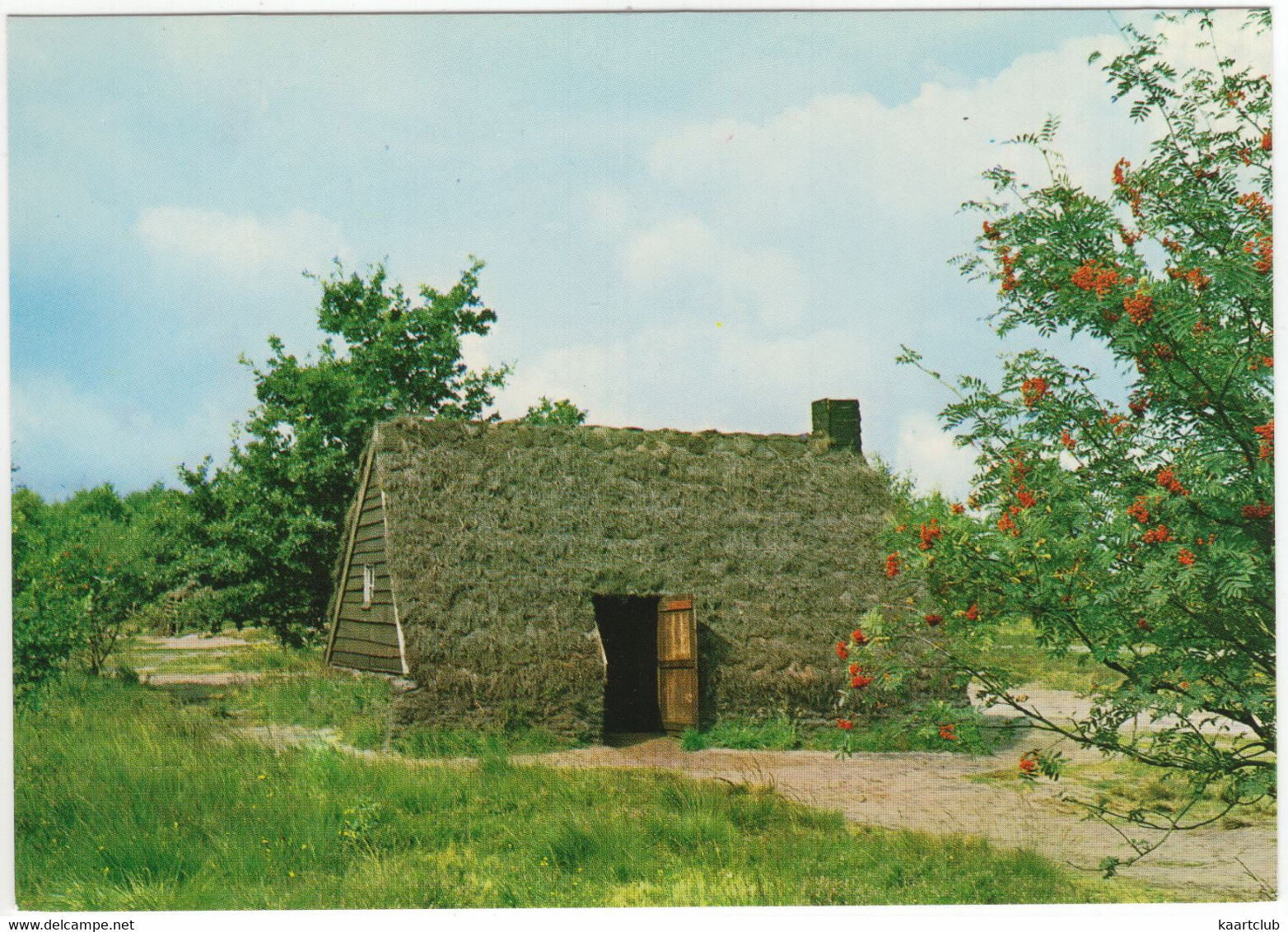 Schoonoord - Plaggenhut, Vlier - Openluchtmuseum Schoonoord 'De Zeven Marken' - (Dr., Nederland) - Coevorden