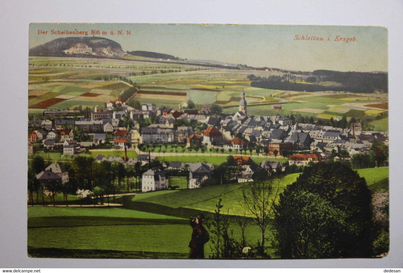 Cpa Schlettau I. Erzgeb - Vue Générale Couleur  VRA05 - Schlettau