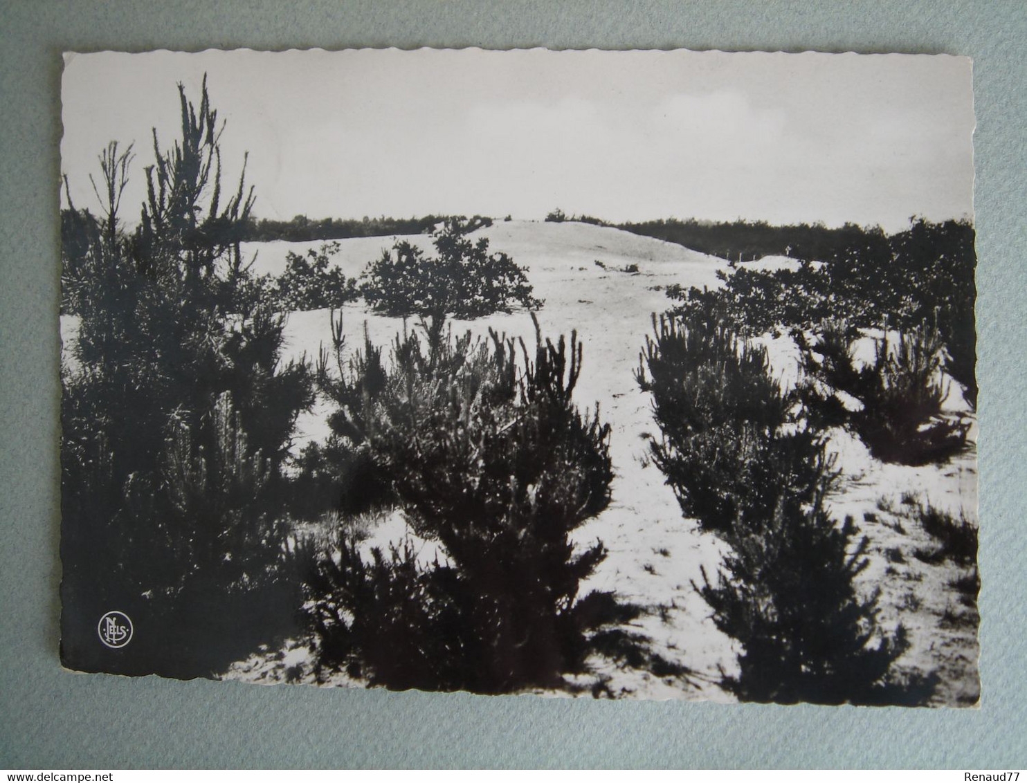 Keerbergen - Hautes Dunes - Keerbergen