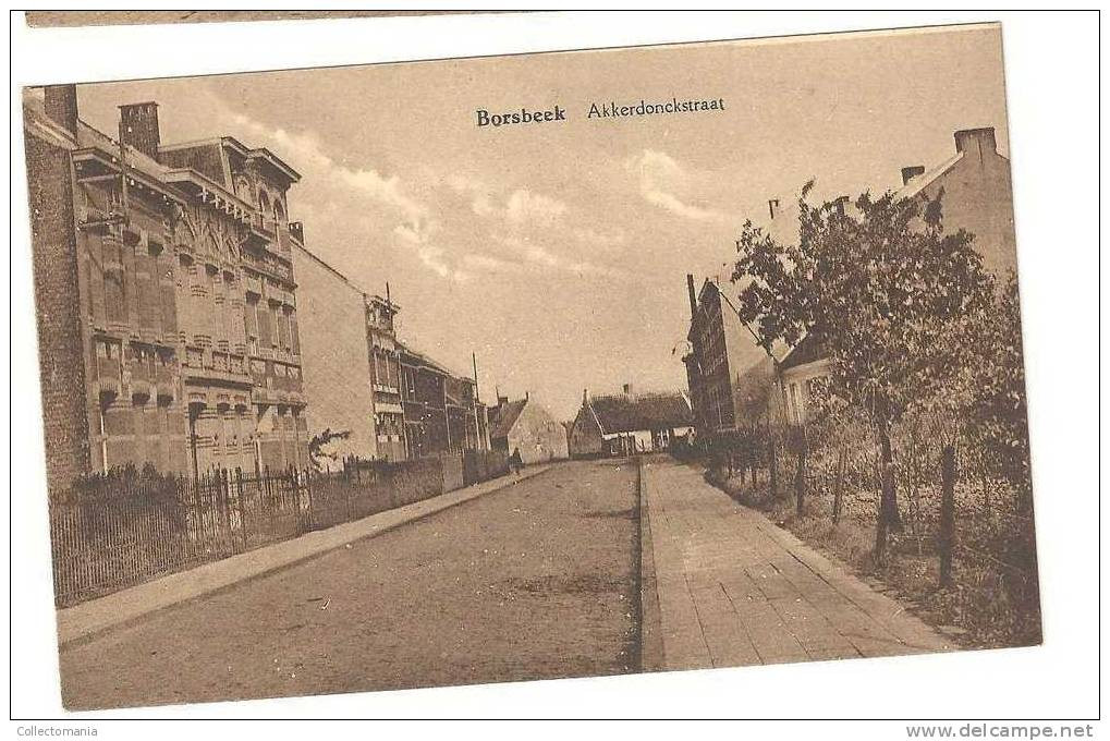 3 Poskaarten BORSBEEK : Lange Smisbergstraat Volk , Akkerdonckstraat , Tramstatie Met Tram ( Boerentram Naar BROECHEM ) - Borsbeek