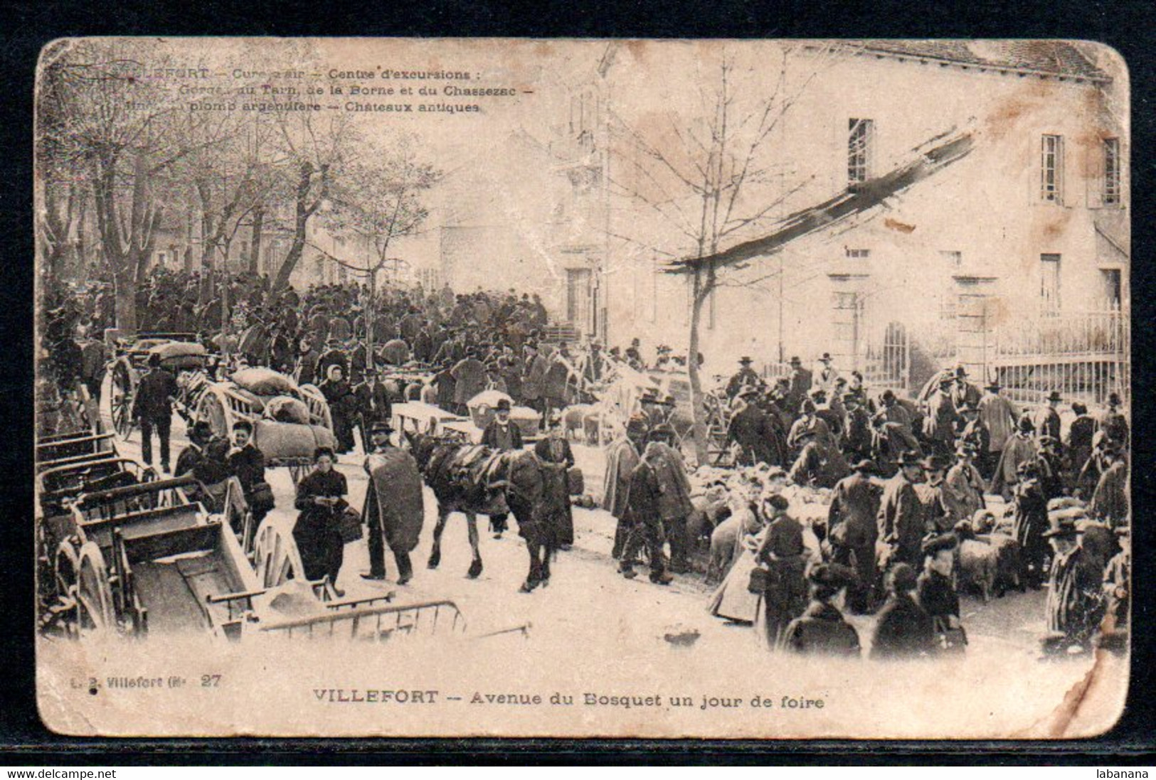 48-Villefort, Avenue Du Bosquet Un Jour De Foire - Villefort