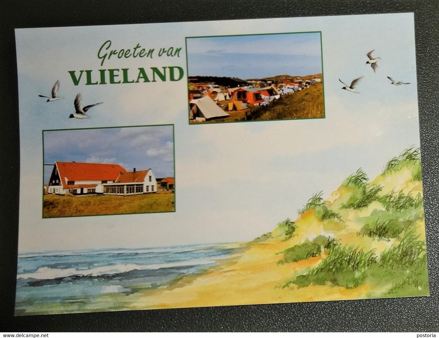 Nederland - Vlieland - Uitgeverij Van Der Meulen Te Sneek - Kaders: Camping - Natuurmuseum - Vlieland