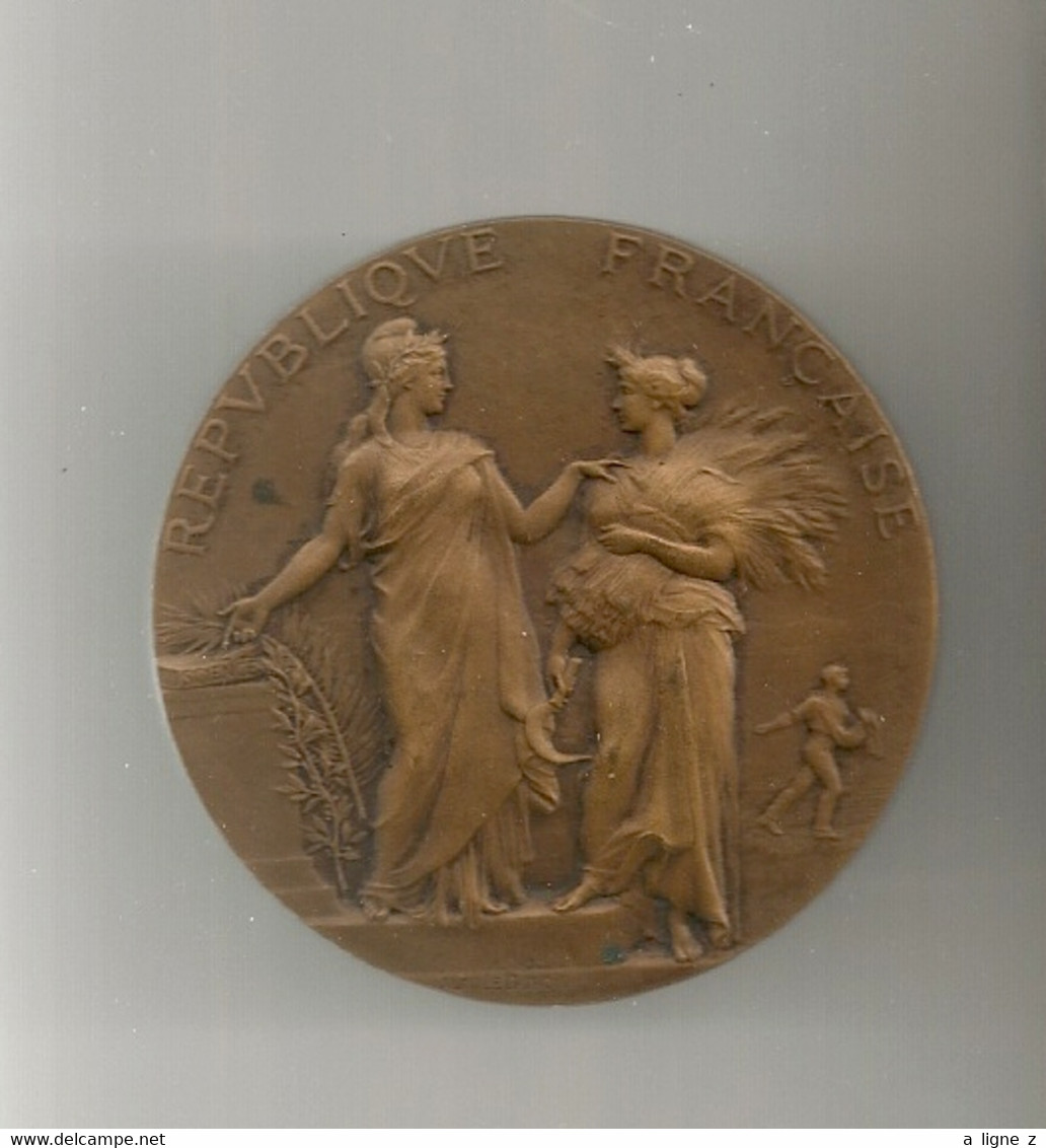 Ref KDK : Médaille Bronze 50 Mm Ministère De L'agriculture Avec écrin Associations Agricoles - Professionnels / De Société