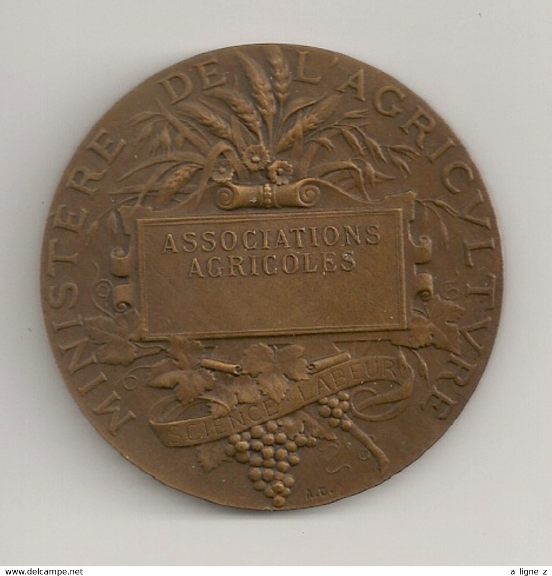 Ref KDK : Médaille Bronze 50 Mm Ministère De L'agriculture Avec écrin Associations Agricoles - Professionnels / De Société