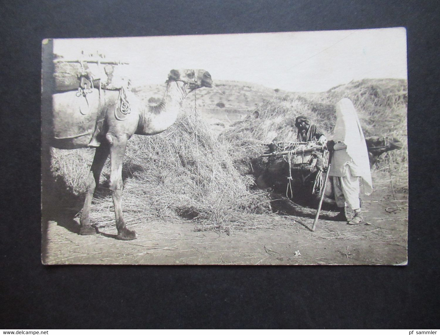 Foto AK Um 1915 Deutsche Kolonien ?? Afrika ?? Türkei ?? Kamel Mit Vermummten Personen Vor Einem Heuberg - Ehemalige Dt. Kolonien