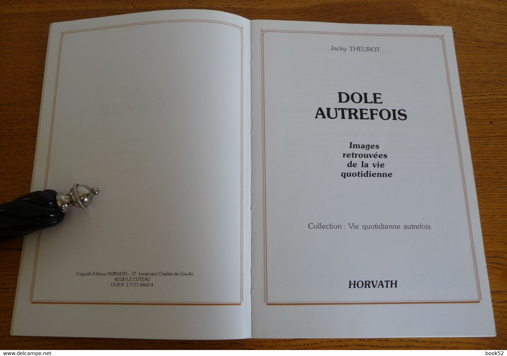 DOLE Autrefois (Images Retrouvées De La Vie Quotidienne) Par Jacky Theurot - Franche-Comté