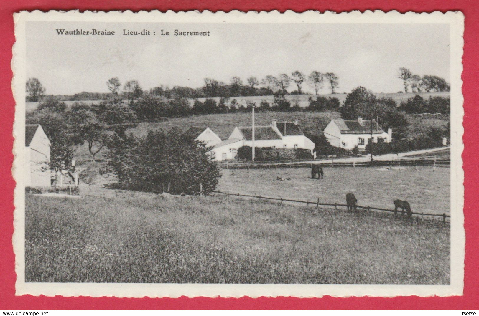 Wauthier-Braine - Lieu-dit : Le Sacrement ( Voir Verso ) - Braine-le-Château