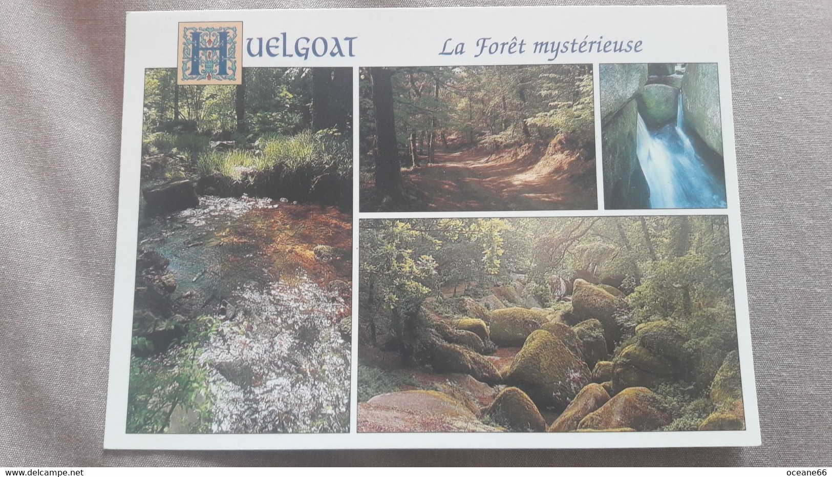 29 Huelgoat Multivues La Forêt Mystérieuse - Saint-Vougay