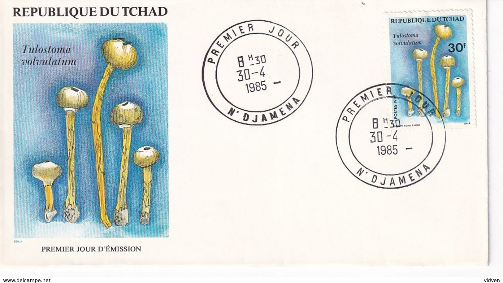 Tchad, Mushrooms, First Day Cover Used, - Paddestoelen