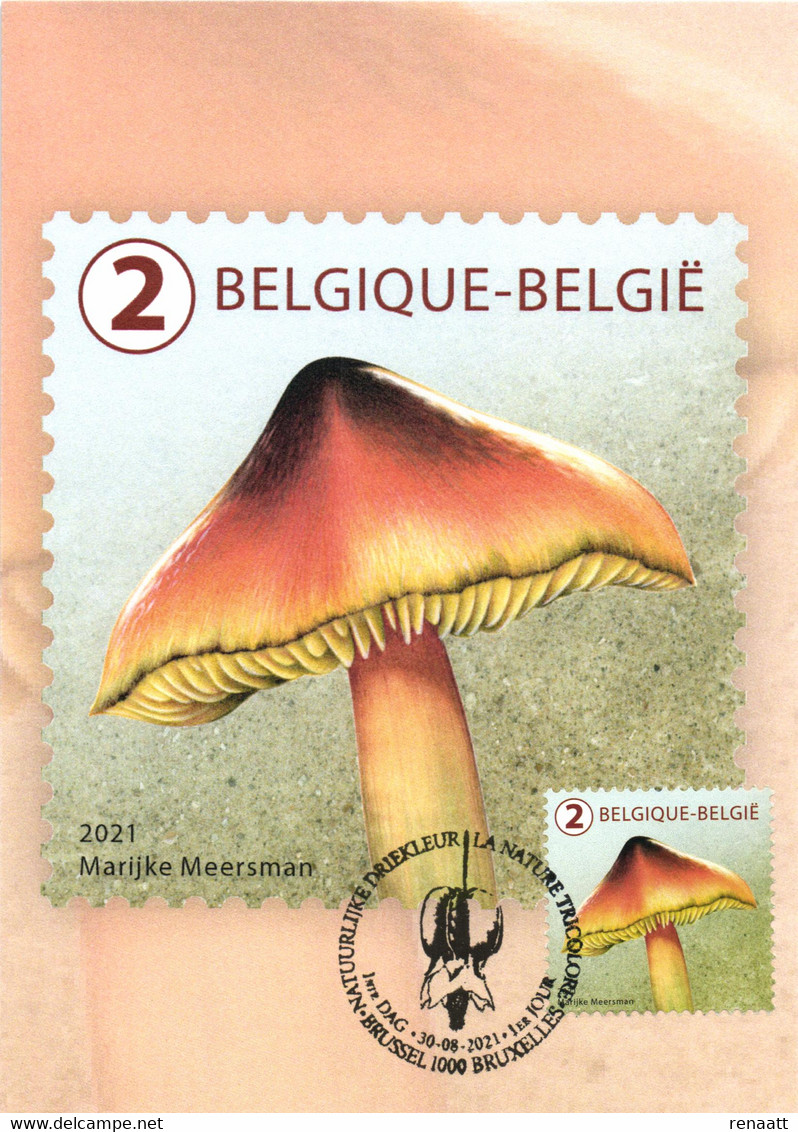 Belgium 2021 MC CM Maximum Card, Tricolour In Nature, Meersman, Mushroom, Waxcap Hygrocybe Acutoconica Hygrophore Pointu - Paddestoelen