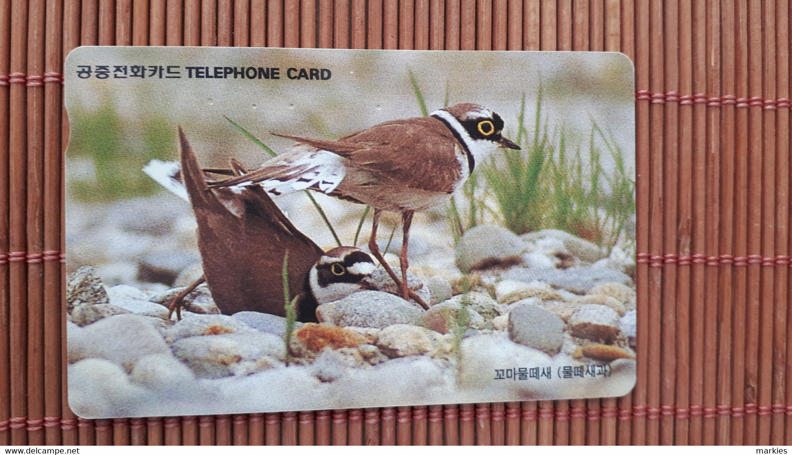 Birds Phonecard Sed  Rare - Zangvogels