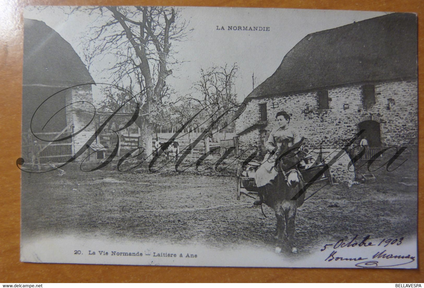 Laitiére à Ans  N°20 Basse-Normandie La Vie Normande-1903 D14 - Donkeys