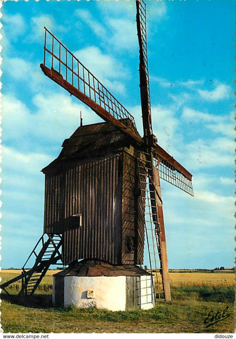 62 - Cote D'Opale - Témoin Du Passé , Le Vieux Moulin à Vent - Carte Dentelée - CPSM Grand Format - Voir Scans Recto-Ver - Other & Unclassified