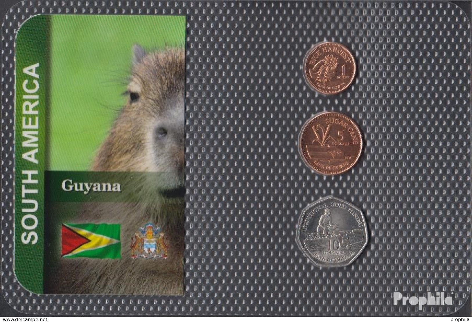 Guyana Stgl./unzirkuliert Kursmünzen Stgl./unzirkuliert Ab 1996 1 Dollar Bis 10 Dollars - Guyana