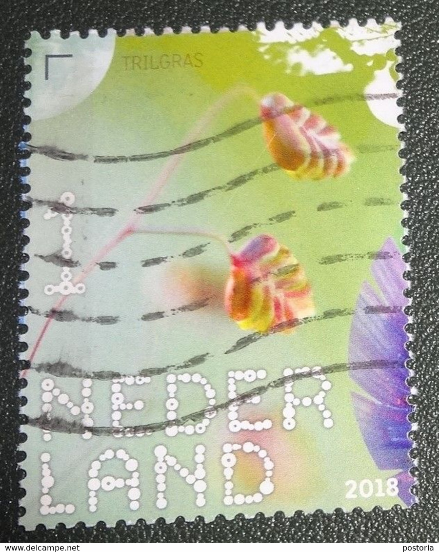 Nederland - NVPH - Xxxx - 2018 - Gebruikt - Beleef De Natuur - Veldbloemen - Trilgras - Used Stamps