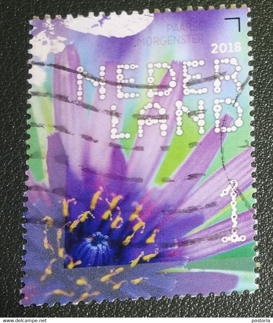 Nederland - NVPH - Xxxx - 2018 - Gebruikt - Beleef De Natuur - Veldbloemen - Paarse Morgenster - Used Stamps