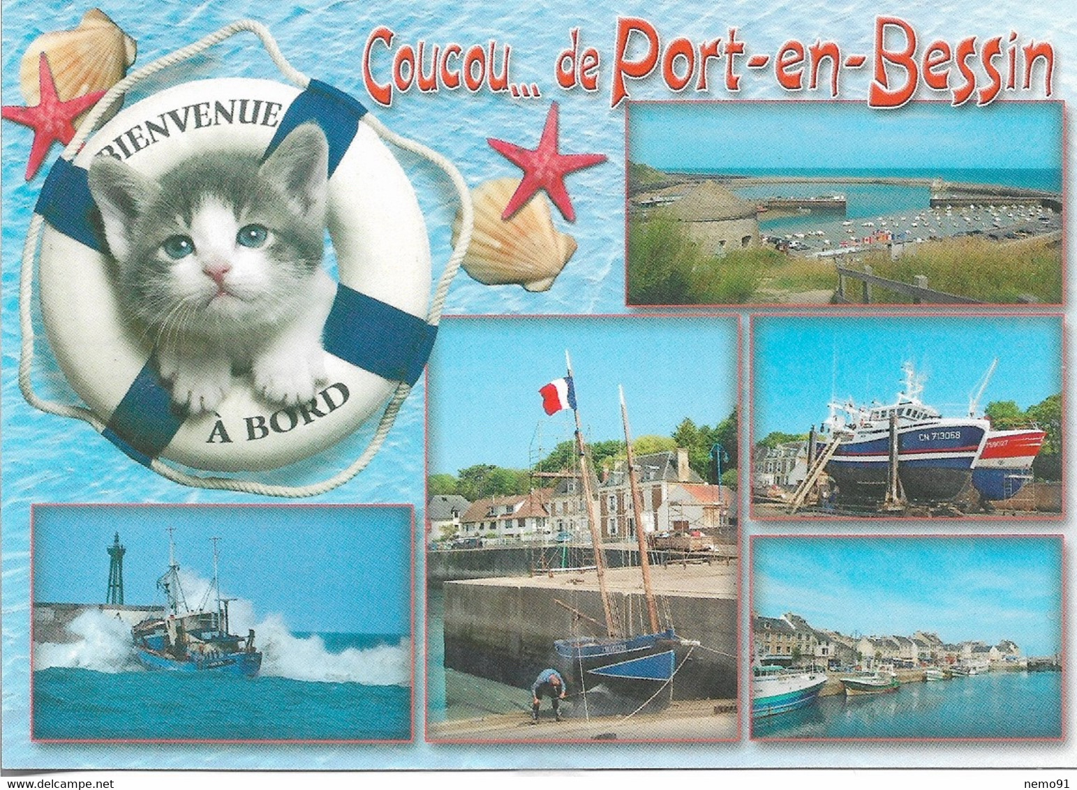 CHATS - COUCOU... DE PORT-EN-BESSIN - 1 PETIT CHAT DANS UNE BOUÉE - COQUILLAGES - CPM - VIERGE - - Katzen