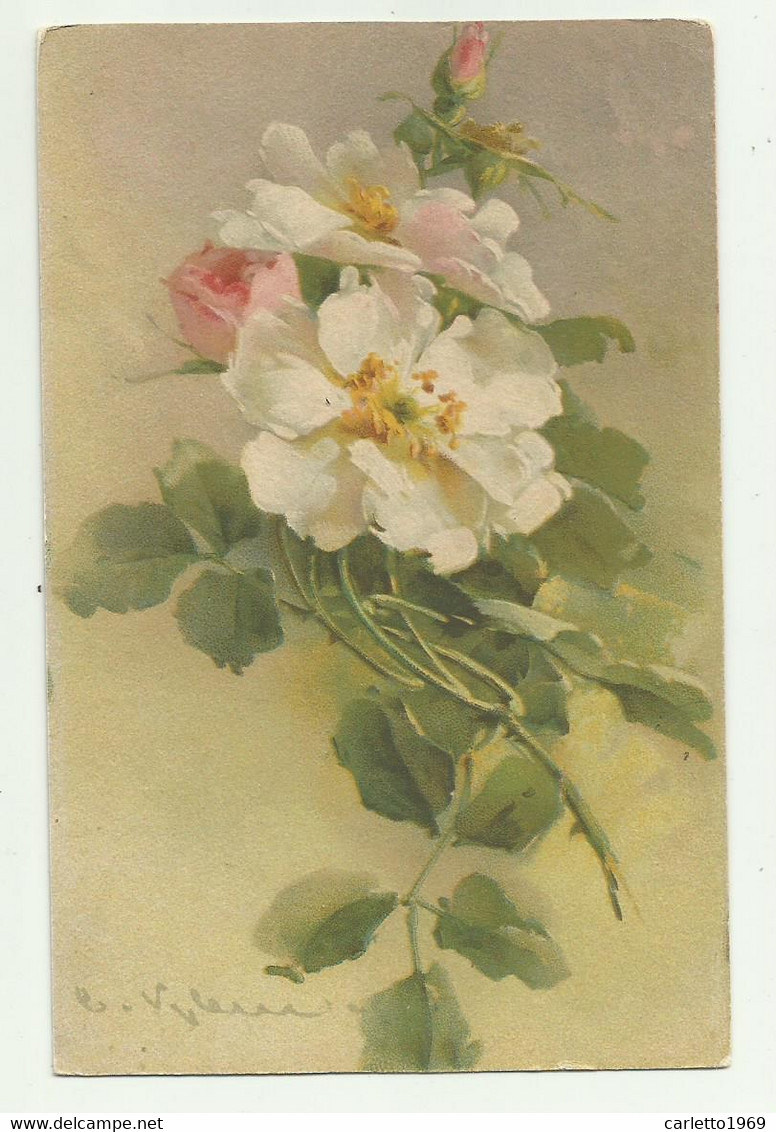 FIORI ILLUSTRAZIONE DI CATHARINA KLEIN - NV FP - Klein, Catharina