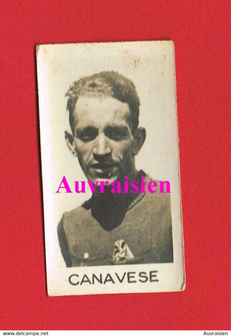 1 Photo Format  3.5 Cm X 6.5 Cm Sport Vélo Cyclisme Coureur Cycliste CANAVESE - Sports