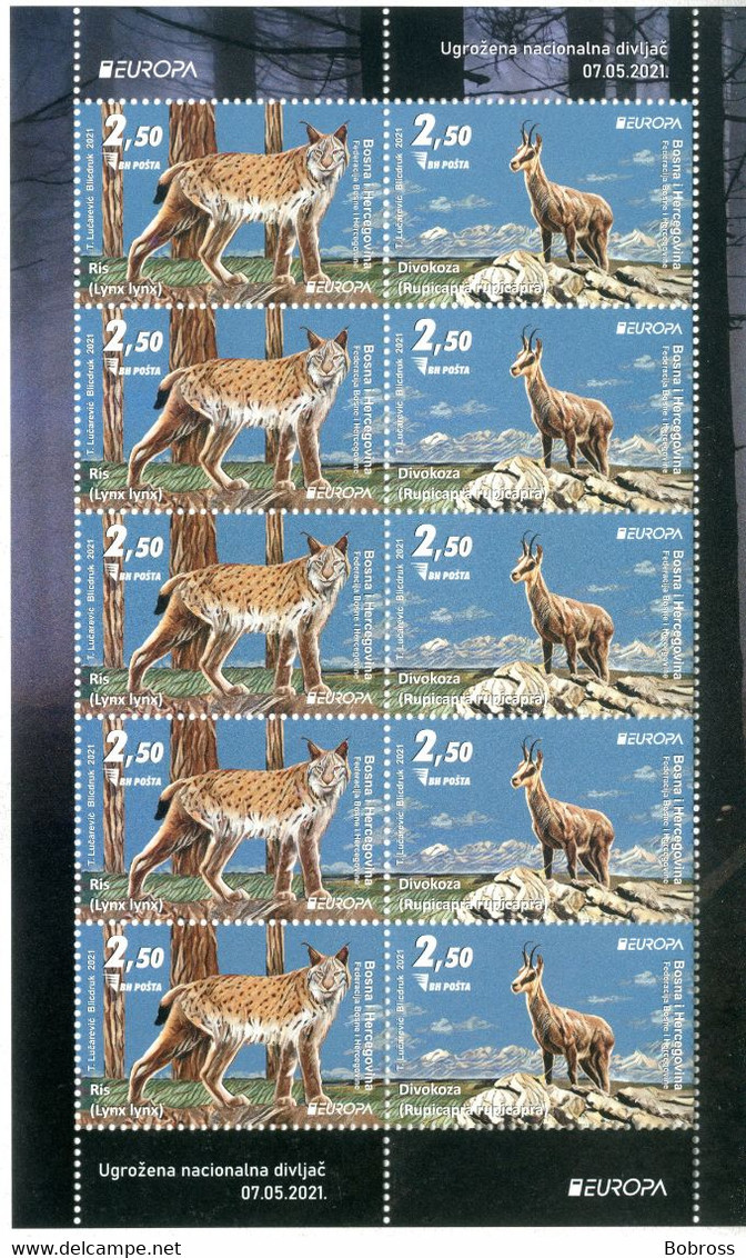 2021 EUROPA,Endangered National Wildlife, Lynx And Chamois, Bosnia And Herzegovina, MNH - Bosnien-Herzegowina