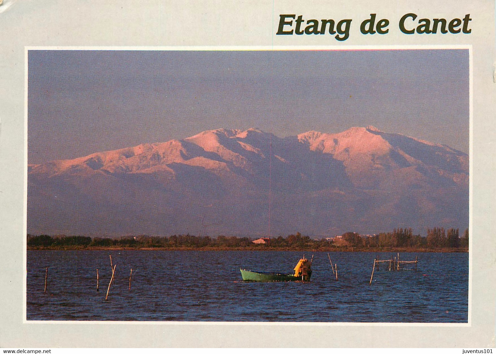 CPSM Etang De Canet-Timbre    L950 - Canet En Roussillon