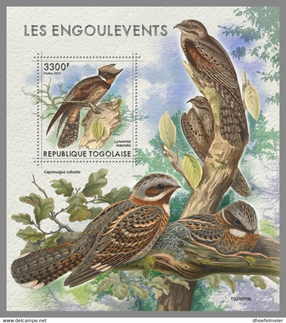 TOGO 2021 MNH Nightjars Nachtschwalbern Engoulevents S/S - OFFICIAL ISSUE - DHQ2139 - Golondrinas