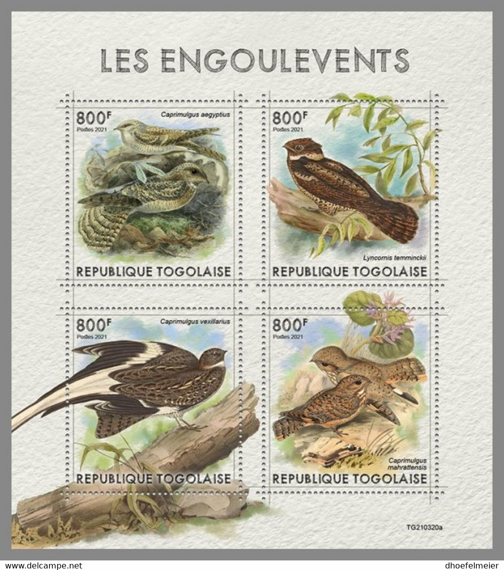 TOGO 2021 MNH Nightjars Nachtschwalbern Engoulevents M/S - IMPERFORATED - DHQ2139 - Hirondelles