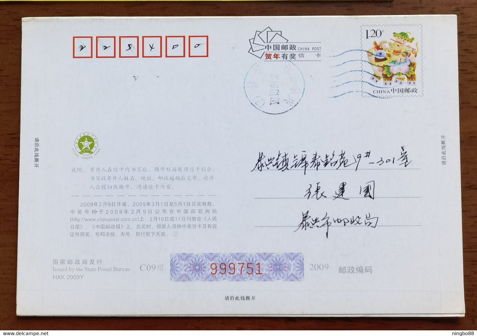 Black Swan Lover(Cygnus Atratus),China 2009 Jiangsu New Year Greeting Advertising Pre-stamped Letter Card - Cygnes