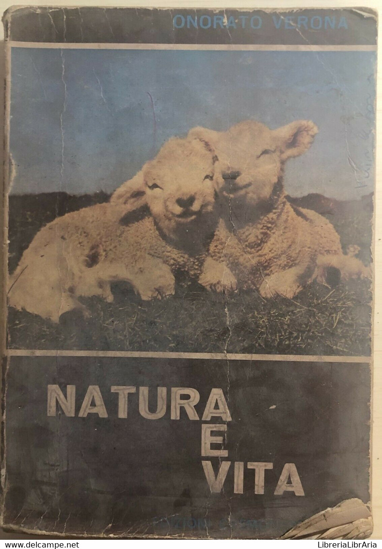 Natura E Vita Di Onorato Verona,  1977,  Edizioni Cremonese - Medicina, Biología, Química