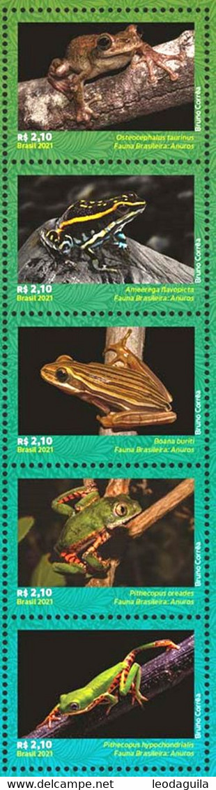 BRAZIL 2021 - FROGS - ANUROS -  TAILLESS AMPHIBIAN -  FAUNA  PRESERVATION - VERTICAL STRIP 5v  MINT - Nuovi