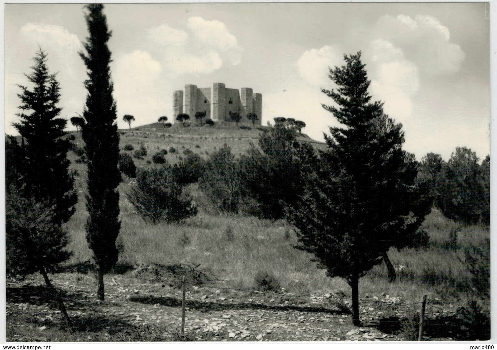 ANDRIA     CASTEL   DEL  MONTE        (NUOVA) - Andria