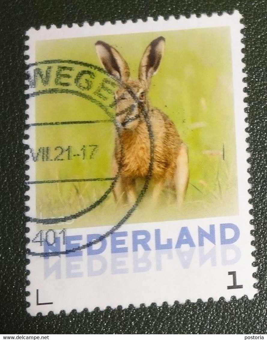 Nederland - NVPH - 3013-Aa-17 - 2013 - Persoonlijke Gebruikt - Zoogdieren - Haas - Timbres Personnalisés