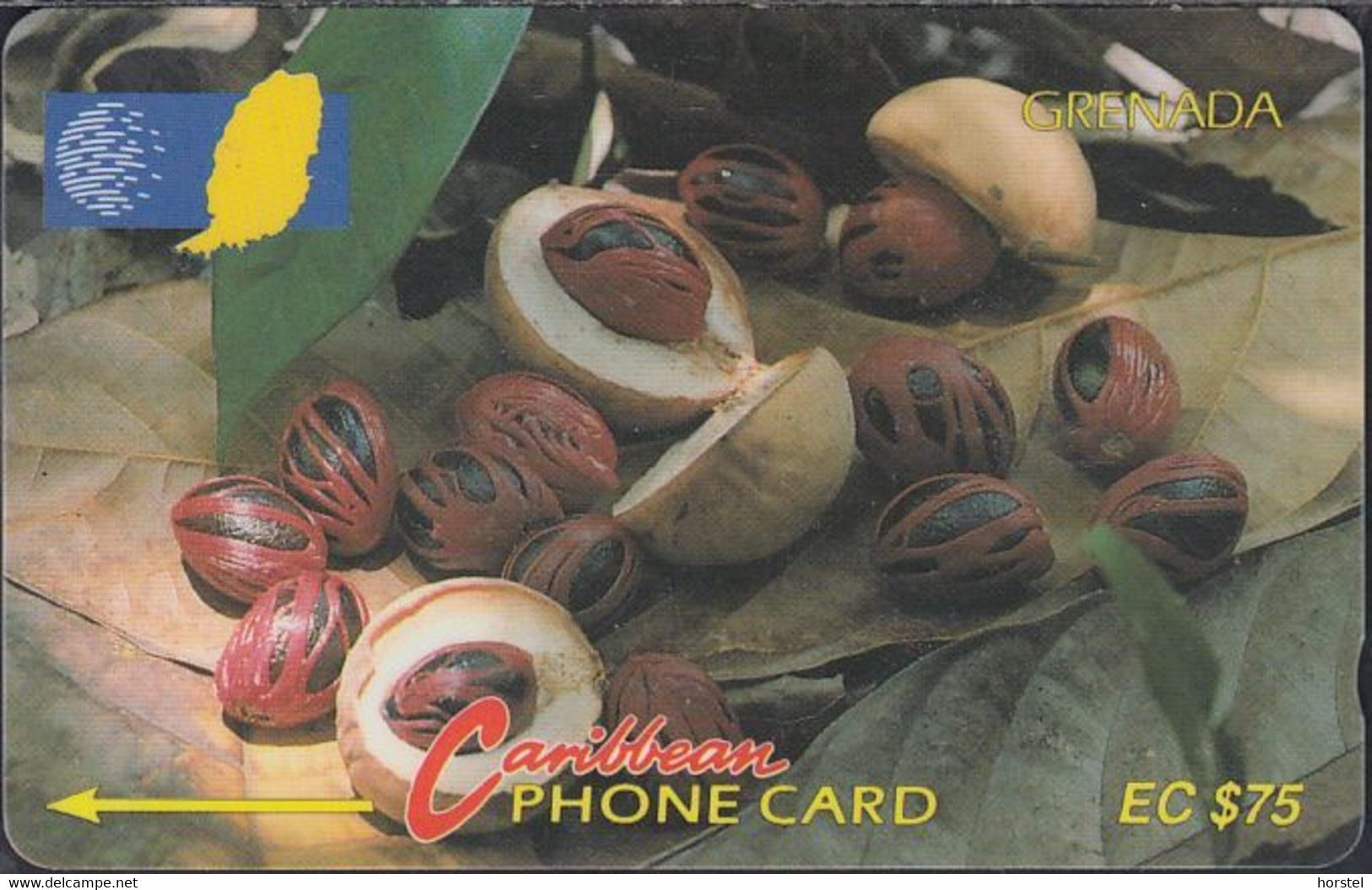 Grenada - GRE-6D - Nutmeg - Fruit- 1993 - 6CGRD - EC$ 75 - Grenade