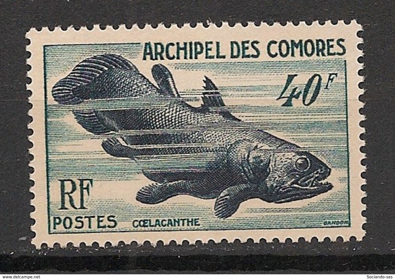 Comores - 1954 - N°Yv. 13 - Poisson / Fish / Coelacanthe - Neuf Luxe ** / MNH / Postfrisch - Neufs