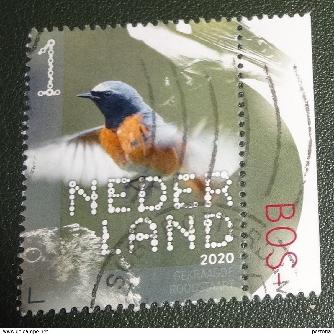 Nederland - NVPH - Xxxx - 2020 - Gebruikt - Used - Beleef De Natuur - Gekraagde Roodstaart - Met Tab - Used Stamps