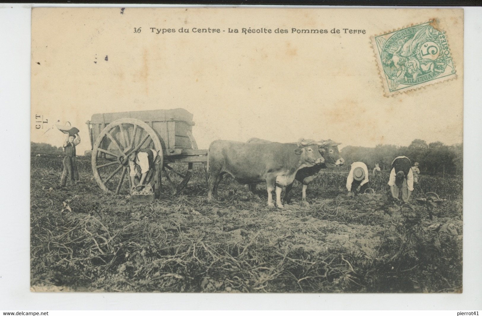 TYPES DU CENTRE - La Récolte Des Pommes De Terre (postée à TULLE En 1905) - Altri & Non Classificati